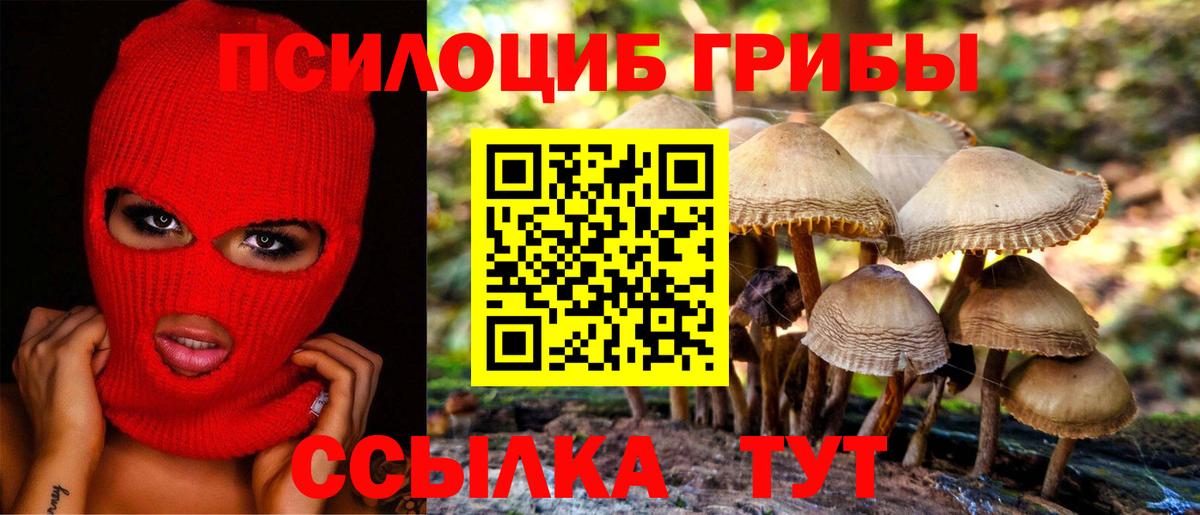 Галлюциногенные грибы GOLDEN TEACHER Красный Сулин
